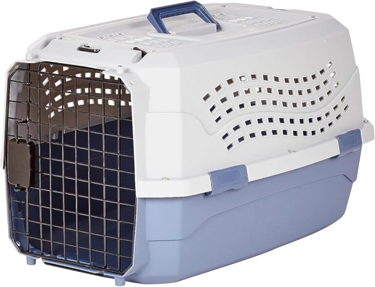 7 Best Cat Carriers for Car: Safe, Vet-Approved Travel